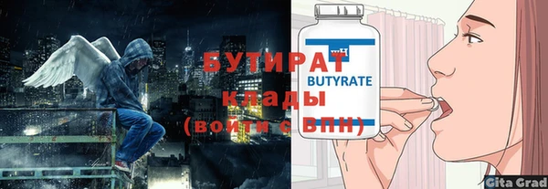 индика Ельня