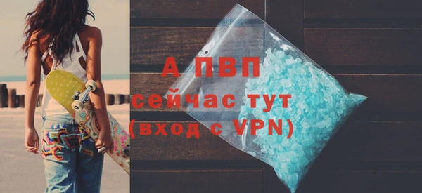 индика Ельня