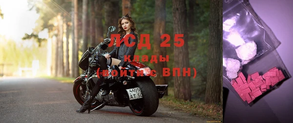 сатива Елабуга