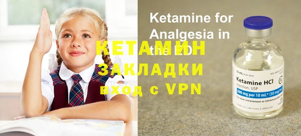 индика Ельня