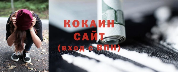 индика Ельня