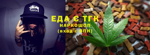 индика Ельня