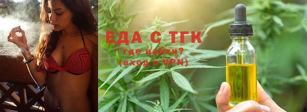 индика Ельня