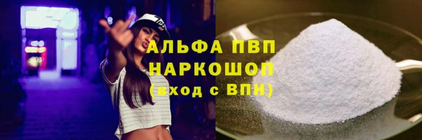 индика Ельня