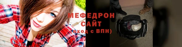 индика Ельня