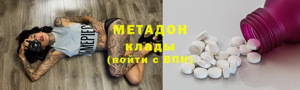 индика Ельня