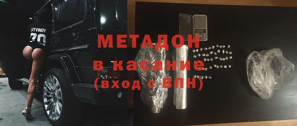 индика Ельня
