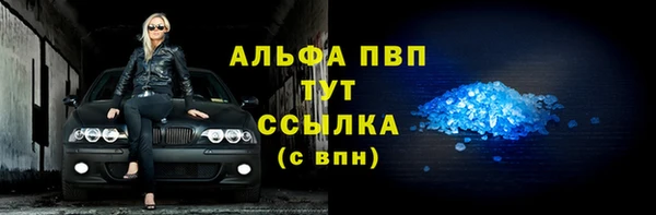 индика Ельня