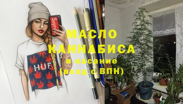 индика Ельня