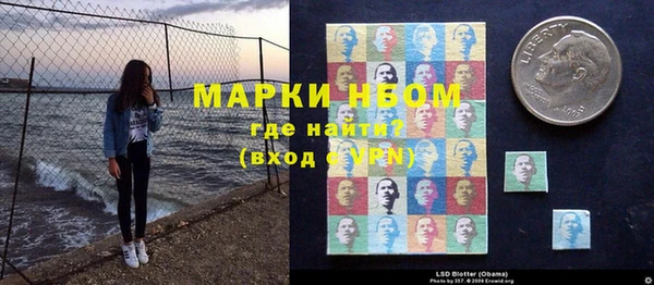 индика Ельня