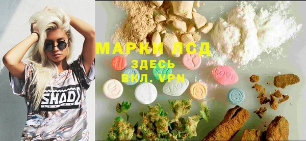 сатива Елабуга