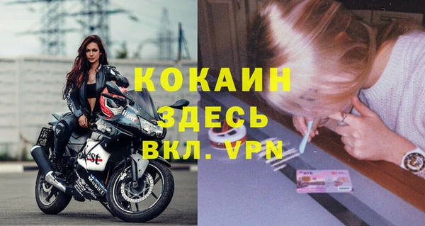 сатива Елабуга