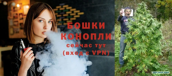 индика Ельня