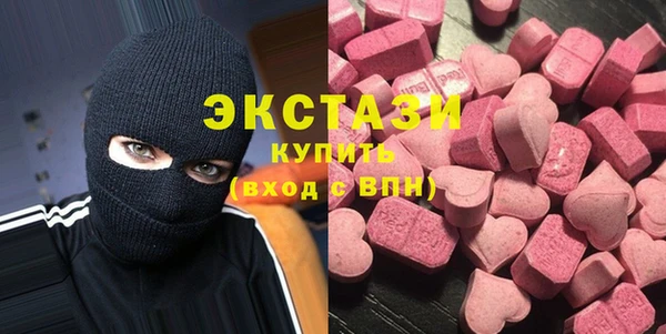 индика Ельня
