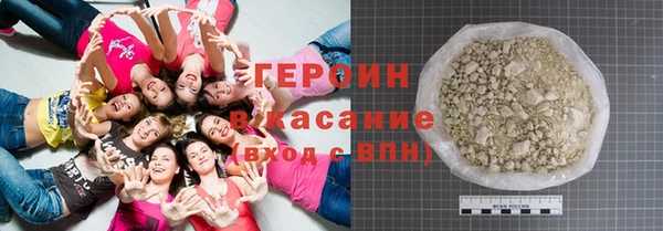 индика Ельня