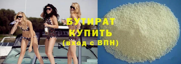 индика Ельня