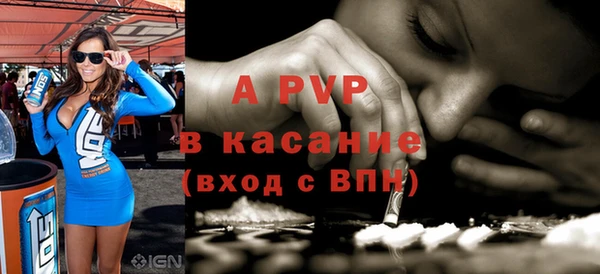 индика Ельня